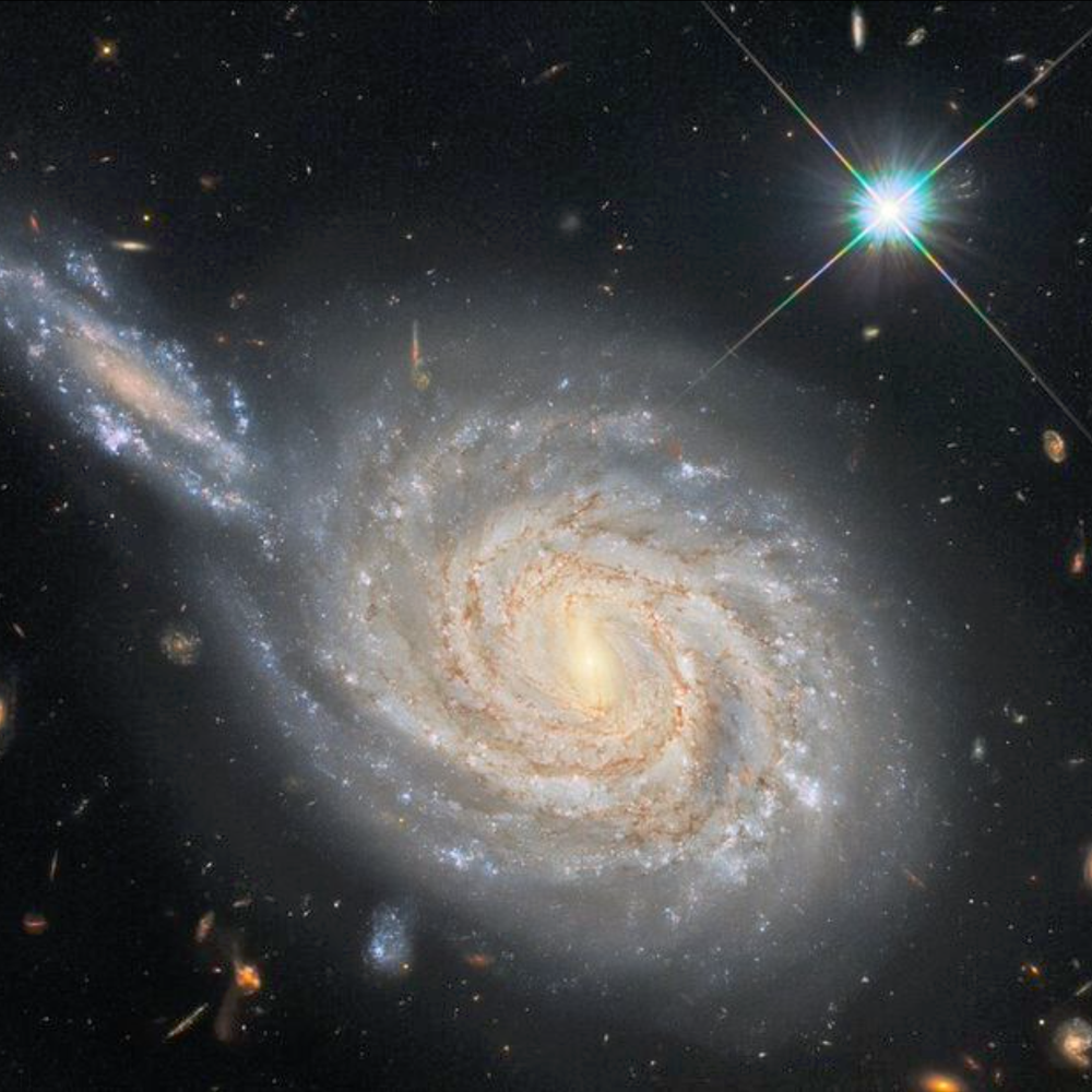 Season 5 — Mission to Zyxx